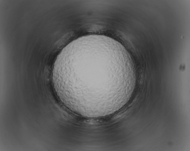 X0000090900273200708270950
