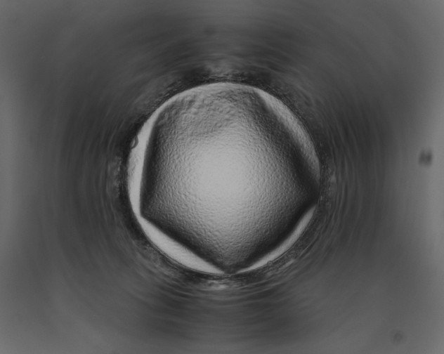 X0000090900275200708270950