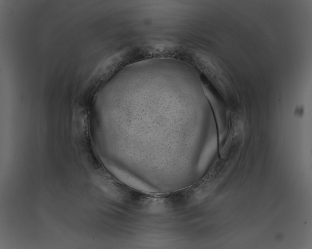 X0000090900276200708270950