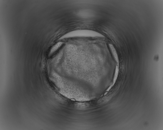 X0000090900277200708270950