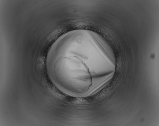 X0000090900278200708270950