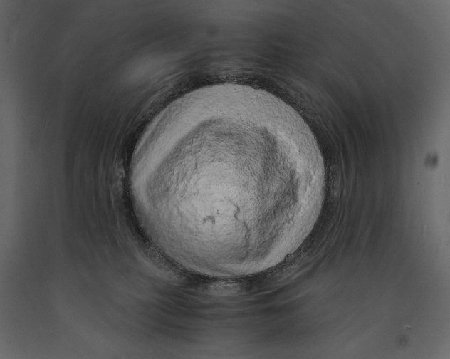 X0000090900279200708270950