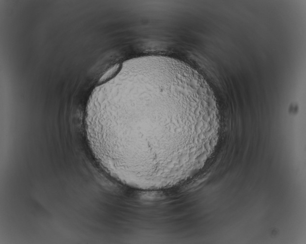 X0000090900281200708270950