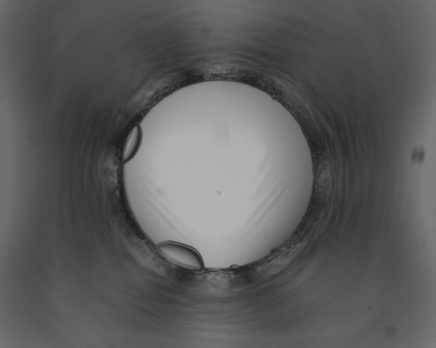 X0000090900282200708270950