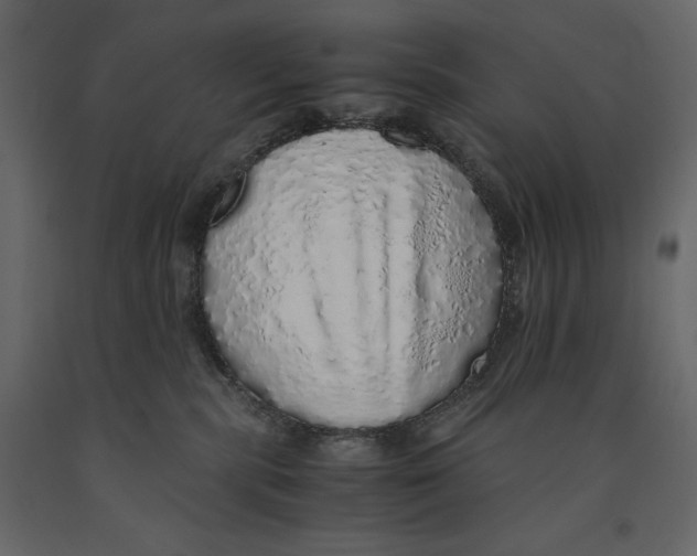 X0000090900283200708270950