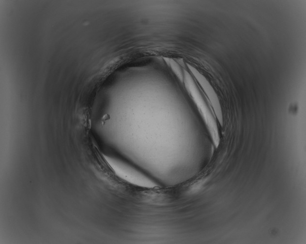 X0000090900284200708270950