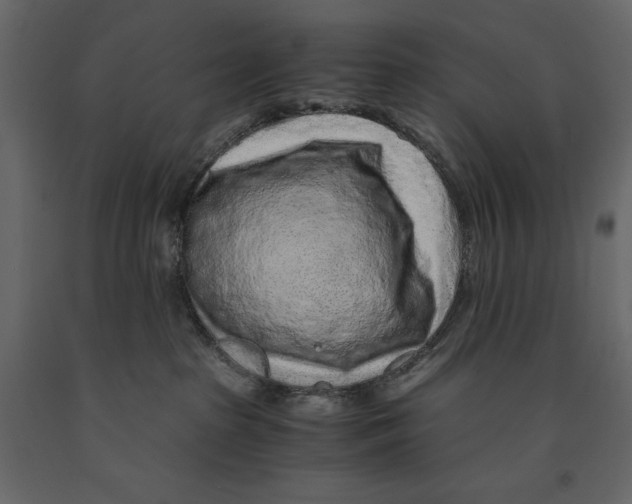 X0000090900285200708270950