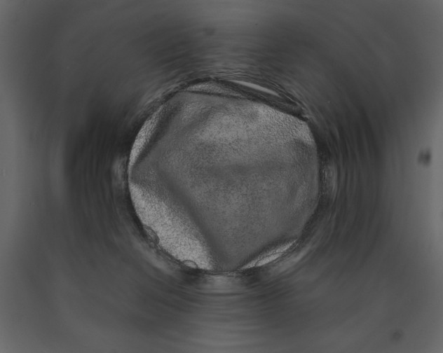 X0000090900286200708270950