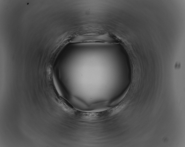 X0000090900288200708270951