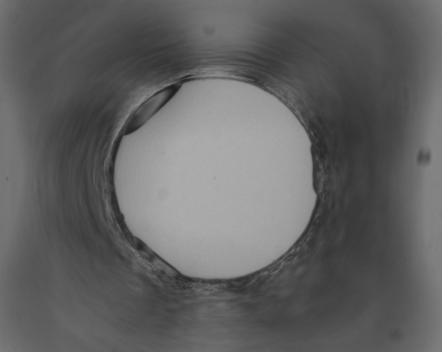 X0000090900289200708270950