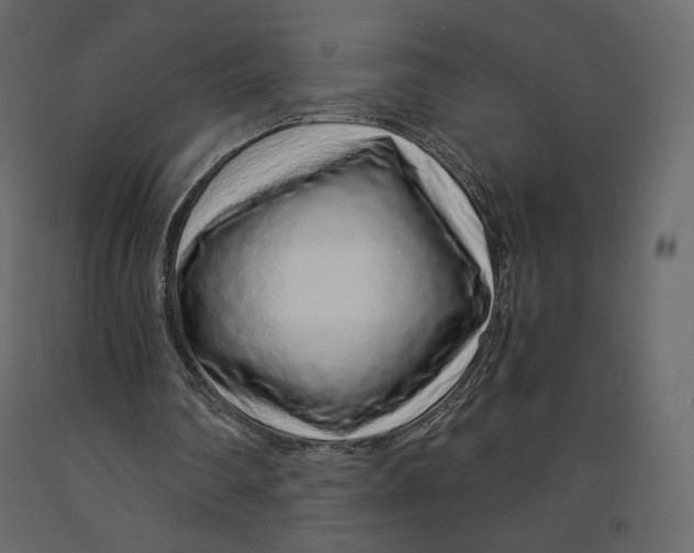 X0000090900290200708270950