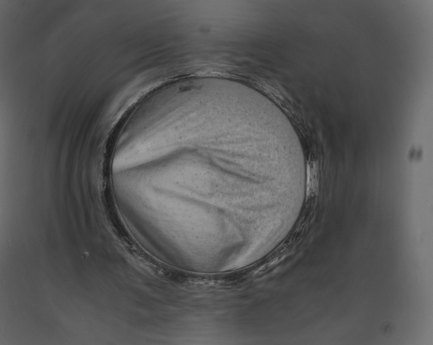 X0000090900291200708270950