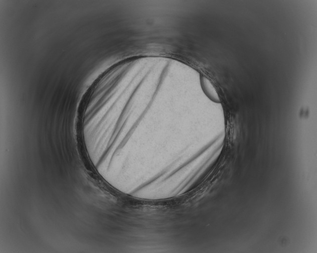 X0000090900292200708270950