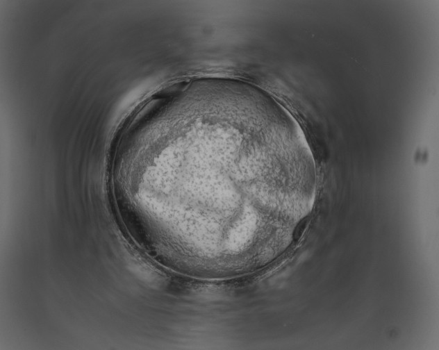 X0000090900293200708270950