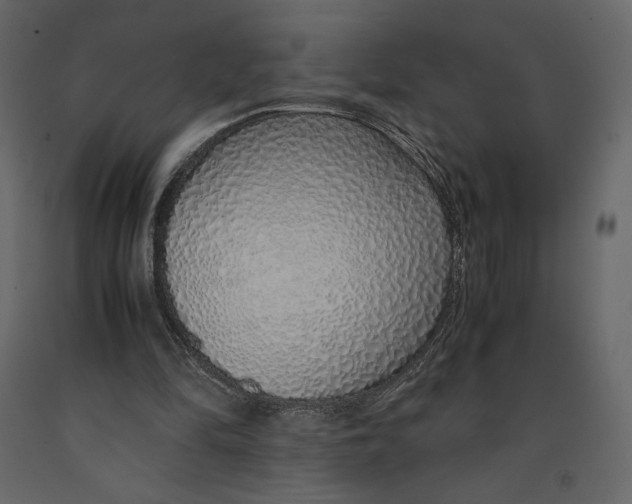 X0000090900294200708270950