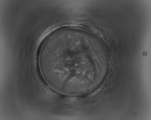 X0000090900295200708270950