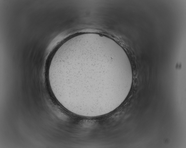 X0000090900296200708270950