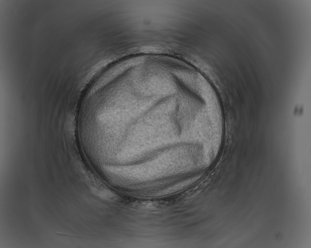 X0000090900297200708270950