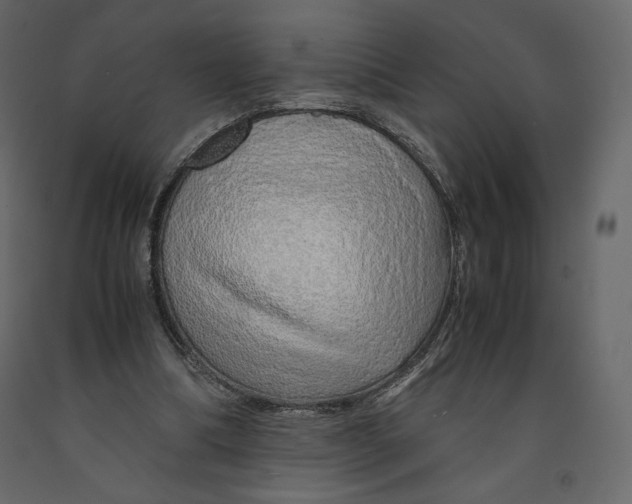 X0000090900298200708270950