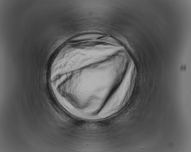 X0000090900299200708270950
