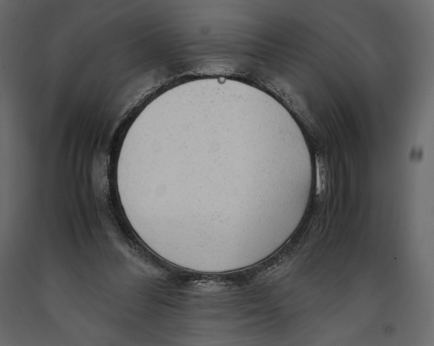 X0000090900300200708270950