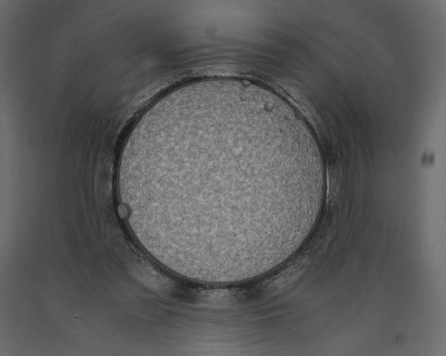 X0000090900301200708270950