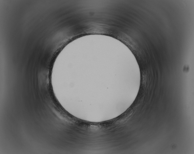 X0000090900302200708270950