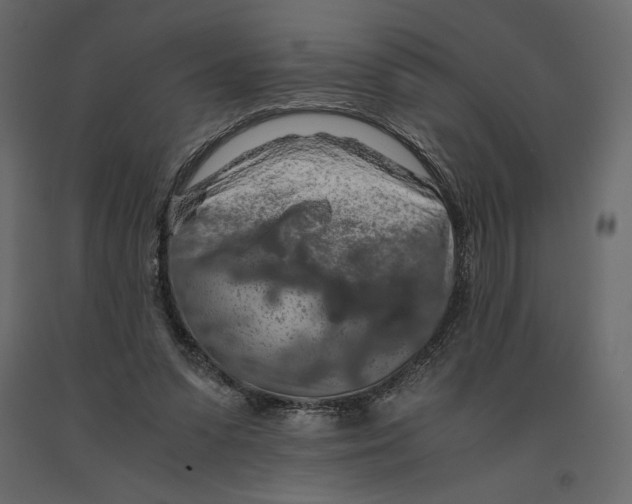 X0000090900303200708270950