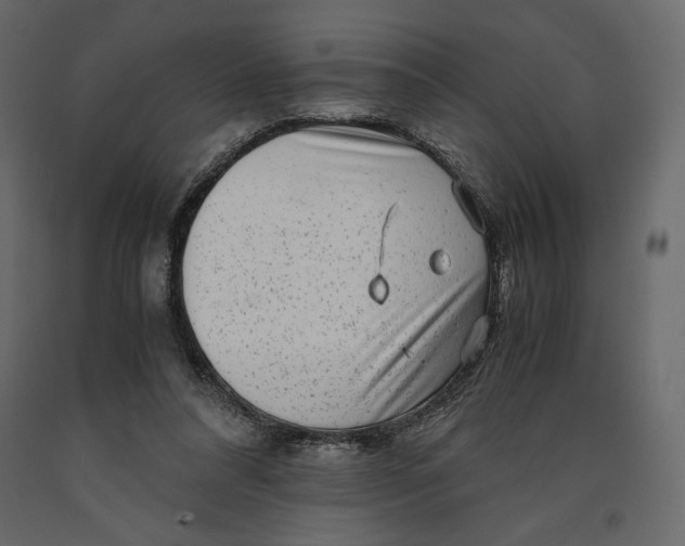 X0000090900304200708270950