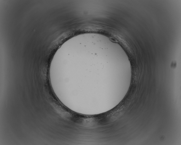 X0000090900309200708270950