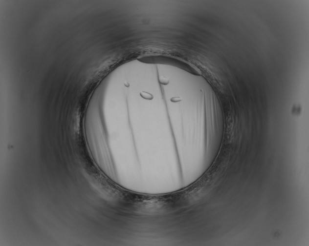 X0000090900310200708270950