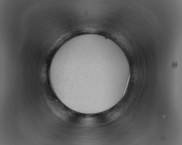 X0000090900312200708270950