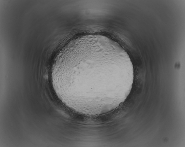 X0000090900315200708270950