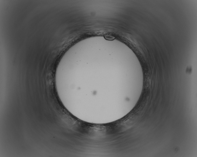 X0000090900317200708270950