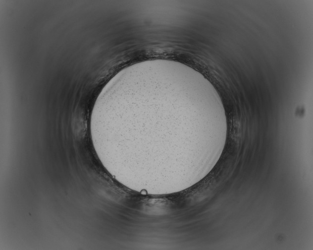 X0000090900324200708270949