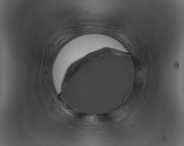 X0000090900325200708270949