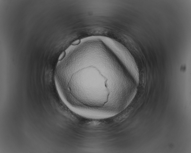 X0000090900326200708270949