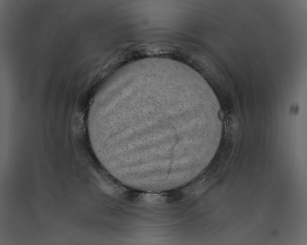 X0000090900327200708270949