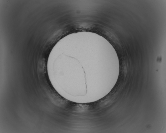 X0000090900328200708270949