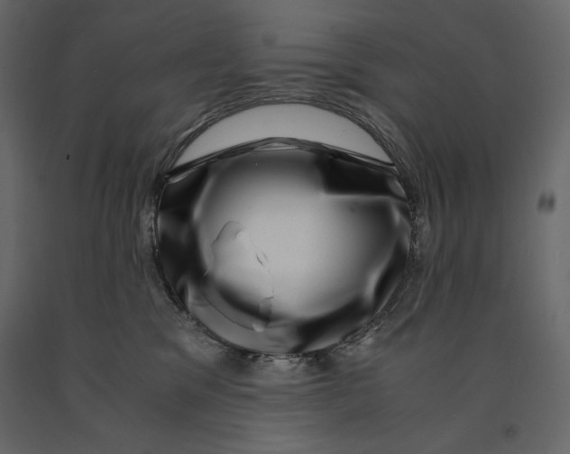 X0000090900329200708270949