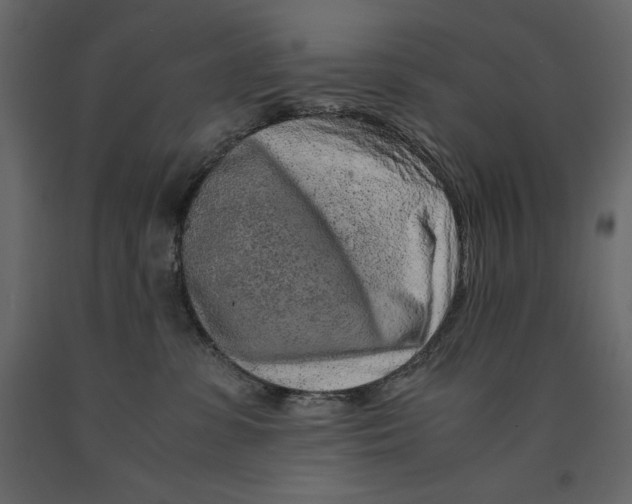 X0000090900331200708270949