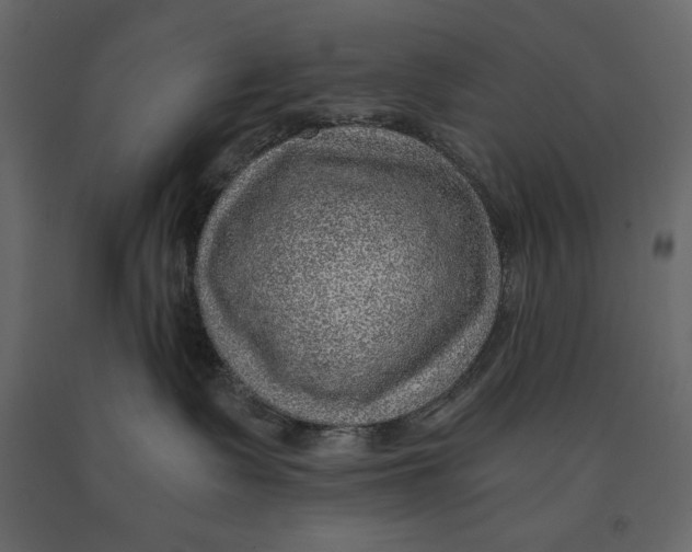 X0000090900335200708270949
