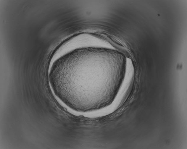 X0000090900337200708270949