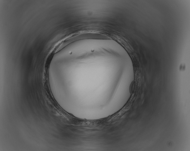 X0000090900338200708270949