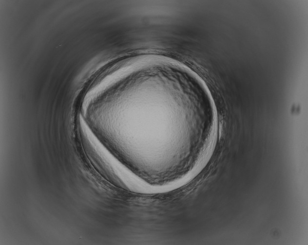 X0000090900339200708270949