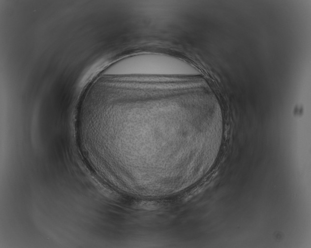 X0000090900341200708270949