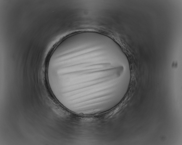 X0000090900342200708270949