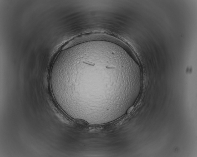 X0000090900345200708270949