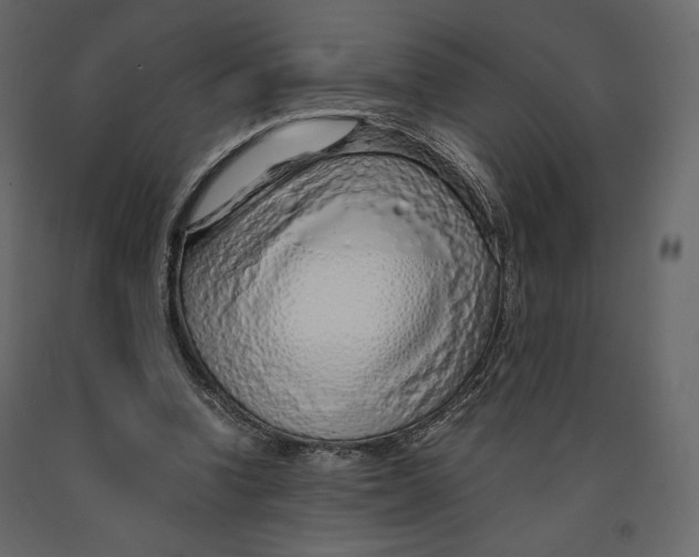X0000090900346200708270949