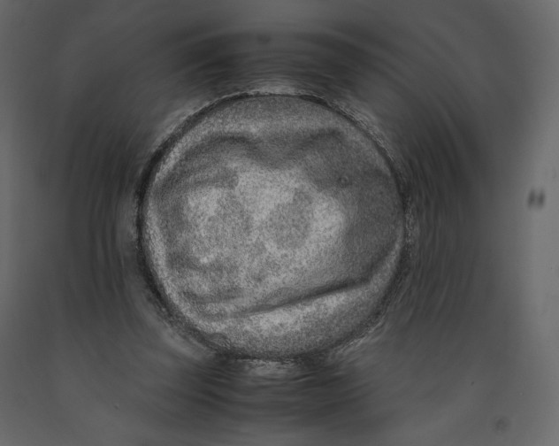 X0000090900347200708270949